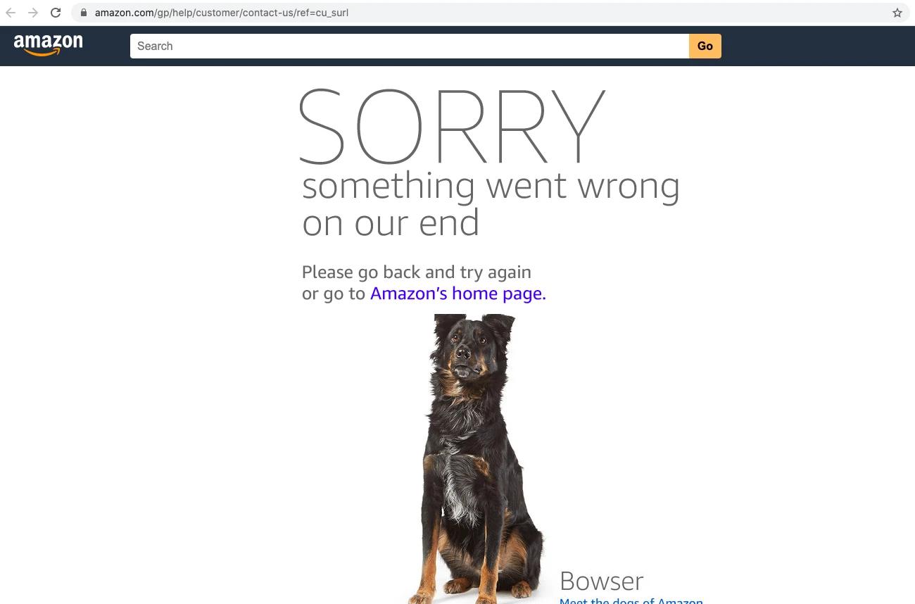 Amazon Keeps Saying Something Went Wrong on Our End: Causes and Fixes