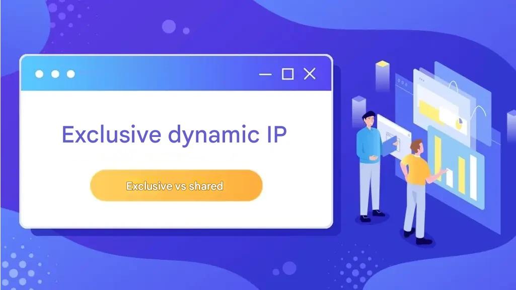 Exclusive dynamic ip really smells! Which one is better for you, exclusive ip or shared ip?
