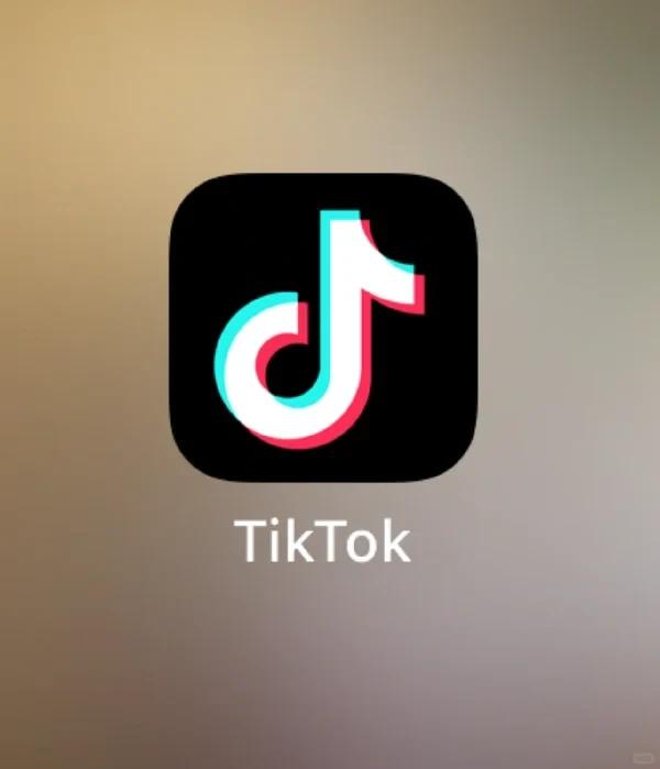 Easy to learn quick and fast way to batch download TikTok videos