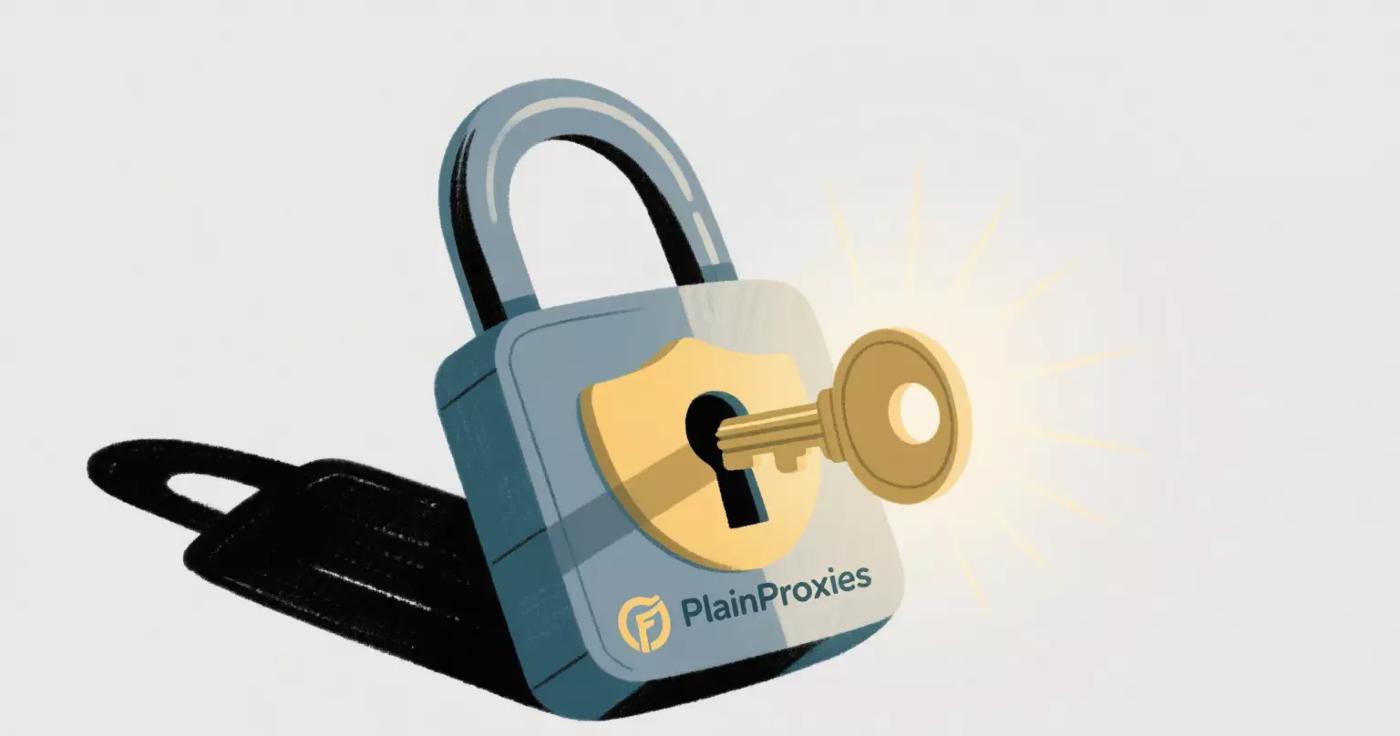PlainProxies vs. Emadar: What You Need to Know About Proxy Providers