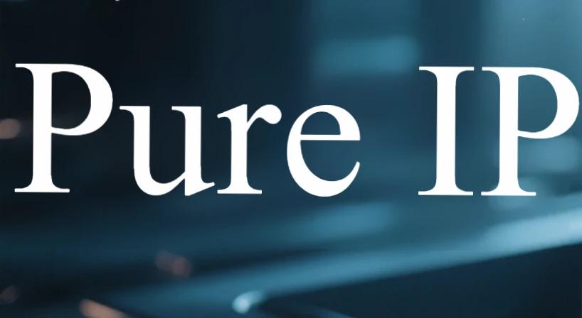 Pure IP: The Core Cornerstone of Cross-Border Business Security and Efficiency