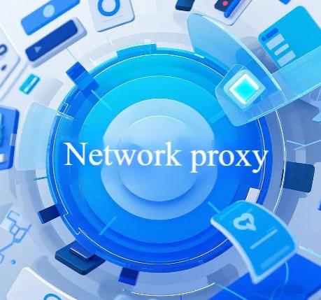What is a web proxy? What kind of web proxy does Facebook use?