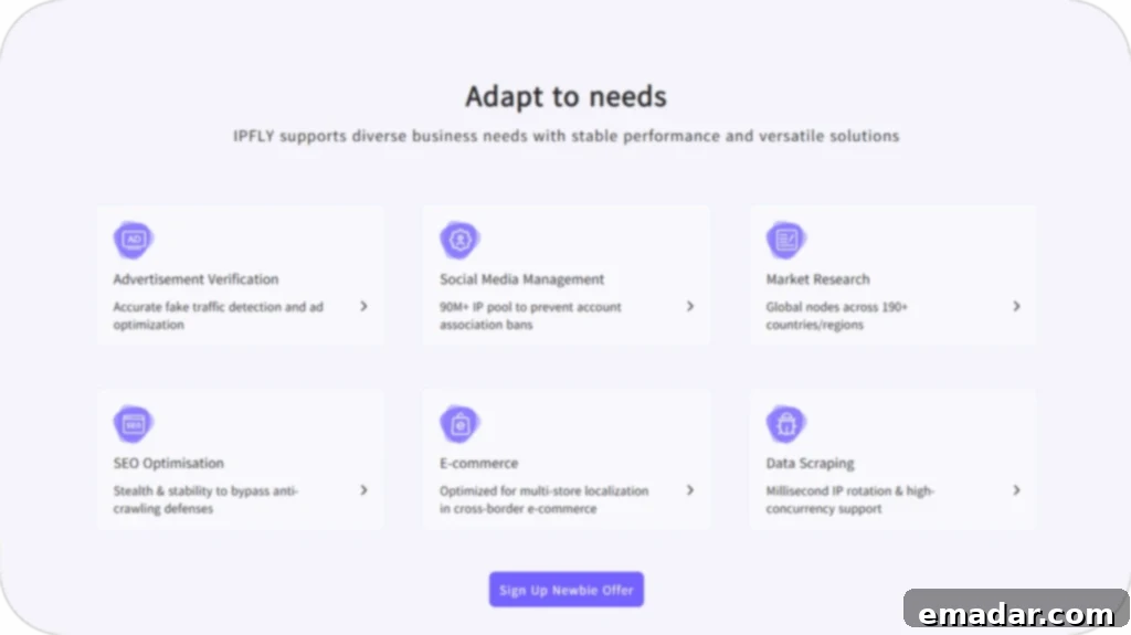 IPFLY's Global Network and Support