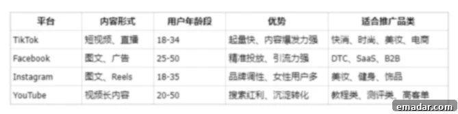 2025 해외 프로모션 플랫폼 특성 개요: TikTok/facebook/Instagram/YouTube Global social media marketing platform comparison