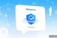 Mastering Error-Free CAPTCHA