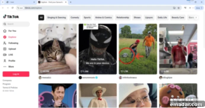 IPFLY+ixBrowser Free Fingerprint Browser: Your High-Value Cross-Border Tool Combo! Step 9: Open the new profile to access your independent TikTok account, allowing secure operations like nurturing, publishing, and engagement.