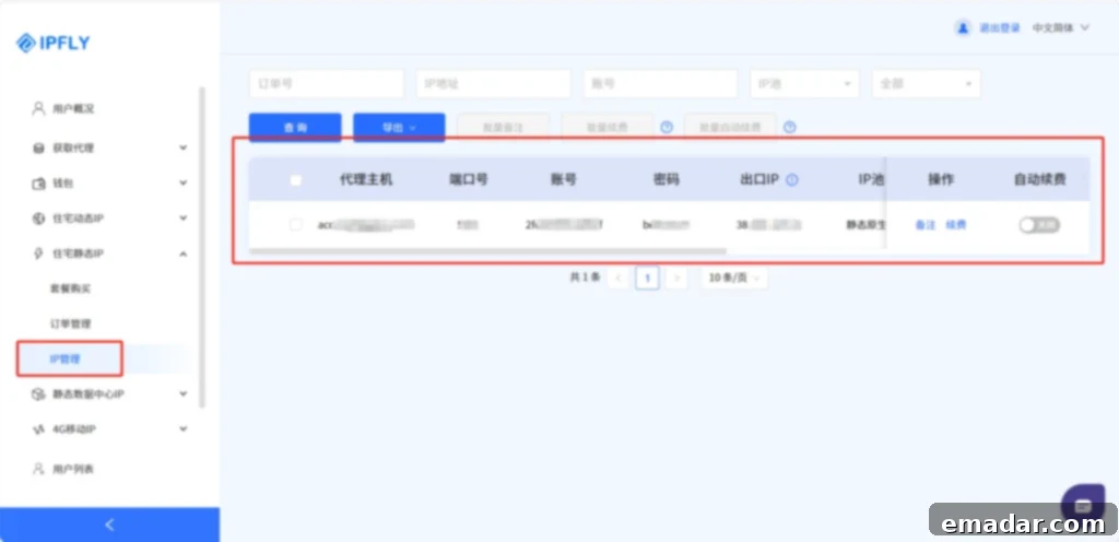 IPFLY Backend - Viewing IP Details