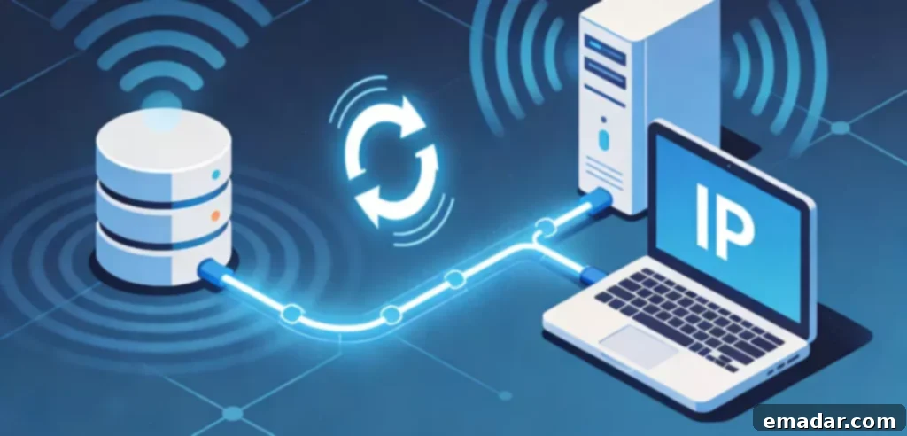 Proxy IP Applications in Different Business Scenarios Proxy IP Applications in Different Business Scenarios