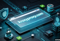 Is CroxyProxy Secure? Examining Data Security and Privacy Risks