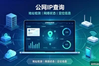 Find Your Public IP: System Commands, Online Lookups, Router
