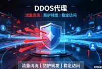 How DDoS Proxies Create Multi-Layer Enterprise Defenses