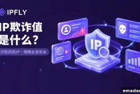 IP Fraud Score: Scoring, DNS Leaks and Environment Consistency