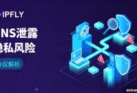 Is Your Proxy Secure? 2026 DNS Leak Detection and Protection