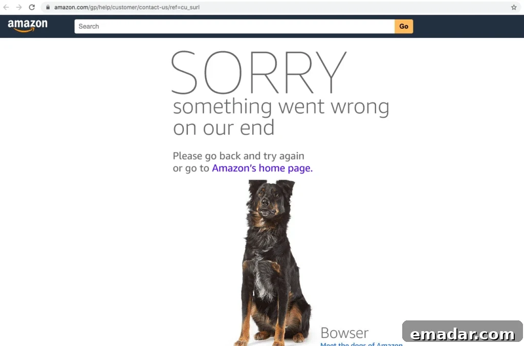 Amazon error dog page